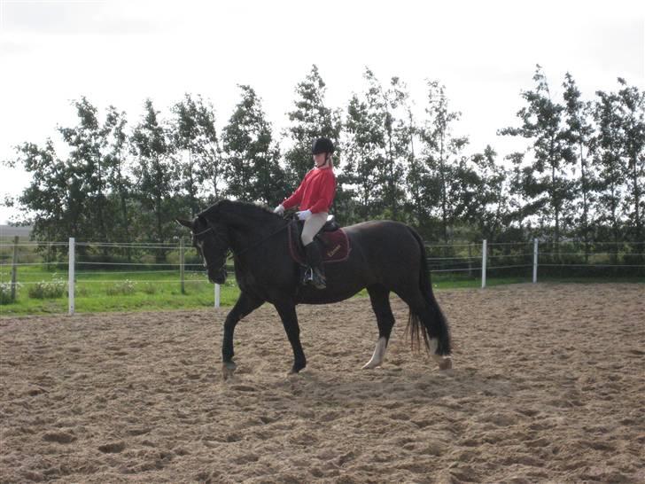 Oldenborg Eloise (solgt) billede 1