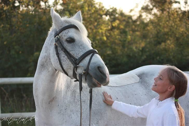 Anden særlig race † Fillur † *Alting* <3 - du vil altid give mig et smil på læben, lige meget hvad !! billede 5