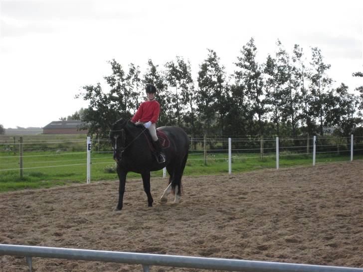 Oldenborg Eloise (solgt) billede 3