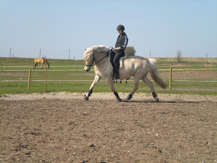 Anden særlig race Mulle   - Taget D 19 April 2011 billede 12