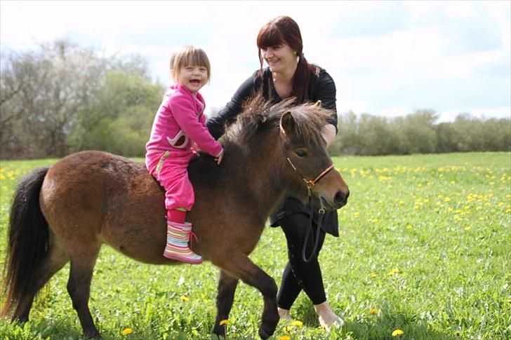 Dansk Miniature Brunebjerggårds Sahara - Verdens skønneste par-alias min datter og sahara billede 12