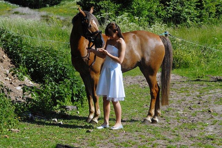 Hollandsk Sportspony Luna Stauslykke - konfirmation 2009 - Luna og Frederikke. billede 10