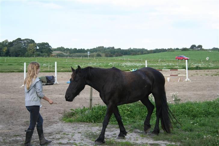 Frieser Carla R.I.P - Carla følger efter mig;D Skal bare sige carla kom også kommer hun<3 nyt taget d 20 september 08 billede 20