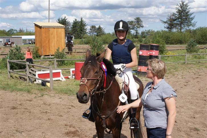 Anden særlig race Gimsi - himmelen har fået en ny stjerne<3 - Fejlfri Ula på Snorgaarden, August 2008. billede 5