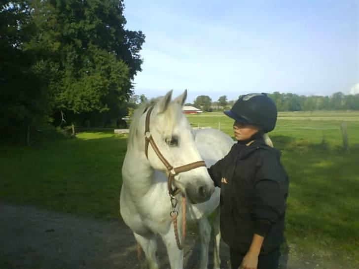 Welsh Pony af Cob-type (sec C) Little Ghost *x-part* <3 - LOVE <3 Elsker det billede! xD Taget af Emilie <3 billede 8