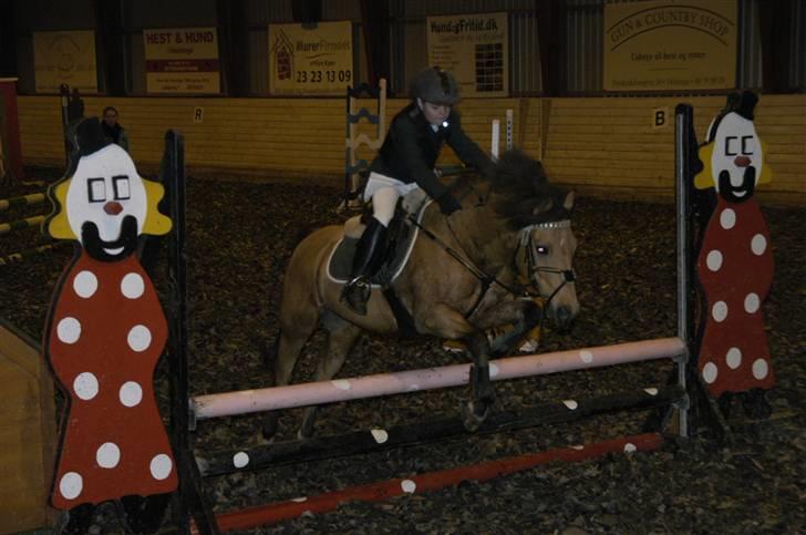 Irsk Sportspony Yellow Star<'3 - Yellow og mig til stævne på GBR hvor vi startede vores første 70 cm.  :D billede 5