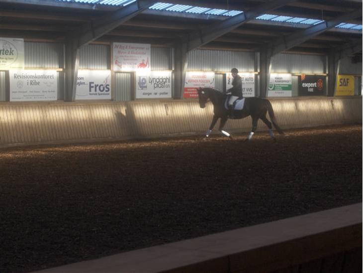 {{currentPhoto.altText}} billede {{currentPhoto.number}}