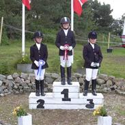 Hollandsk Sportspony Black Beauty * R.I.P.*