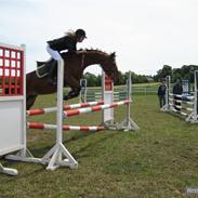 Anden særlig race Cassiopeya