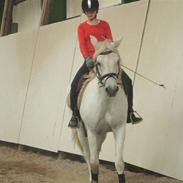 Connemara Nørlunds Melanie