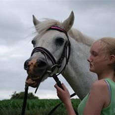 Anden særlig race Misty R.I.P