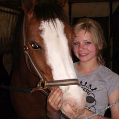 Anden særlig race Smukke