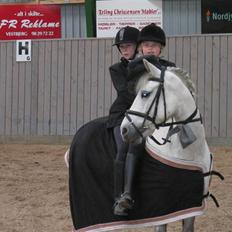 Anden særlig race Silver