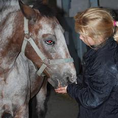 Anden særlig race Tøsen RIP.