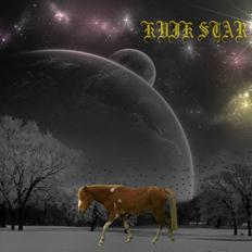 Dartmoor  Kvik Star 