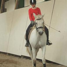 Connemara Nørlunds Melanie