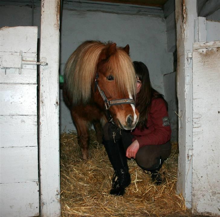 Anden særlig race Marquis - Marquis og jeg <´3;* billede 12
