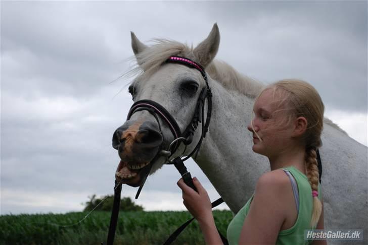 Anden særlig race Misty R.I.P billede 3