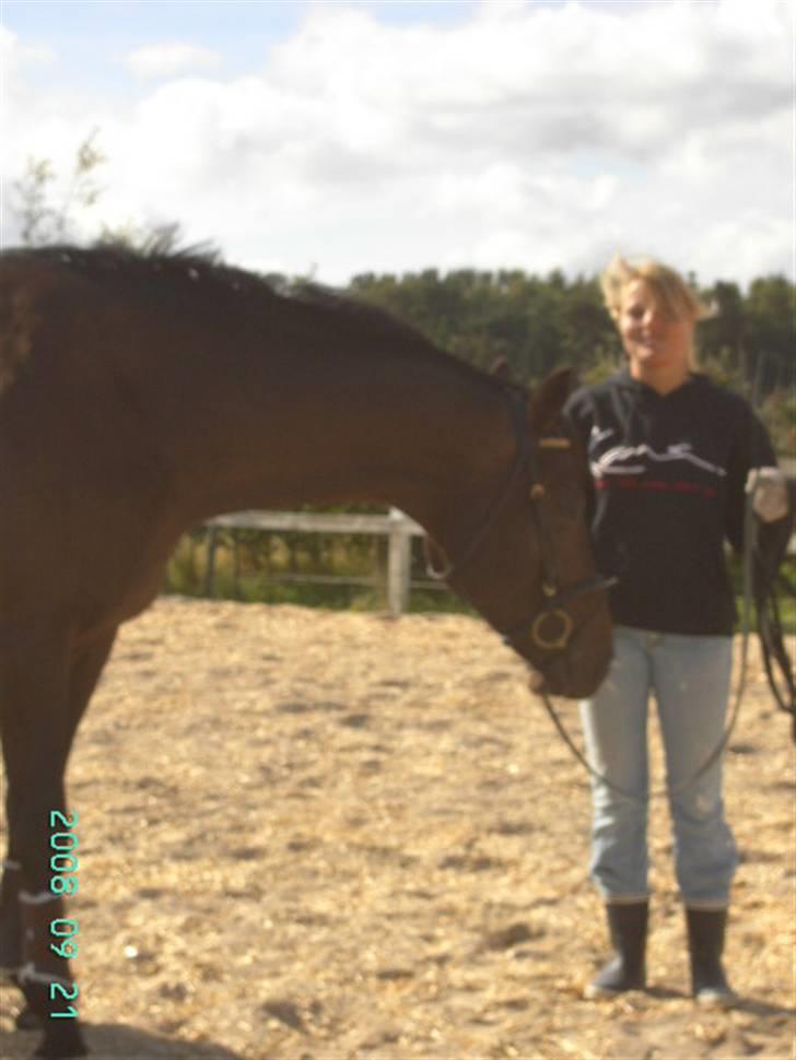 Dansk Varmblod Bocherrinni (R.I.P) ;i <3 billede 15