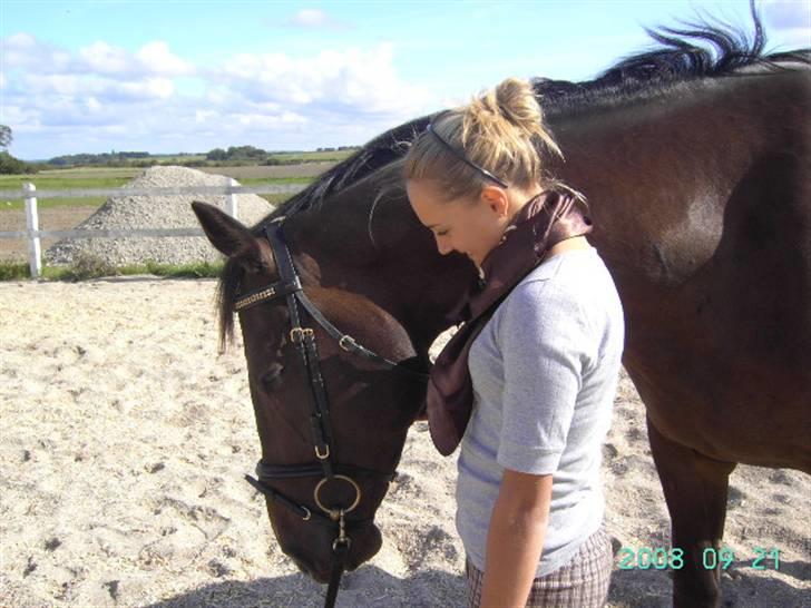 Dansk Varmblod Bocherrinni (R.I.P) ;i <3 billede 20