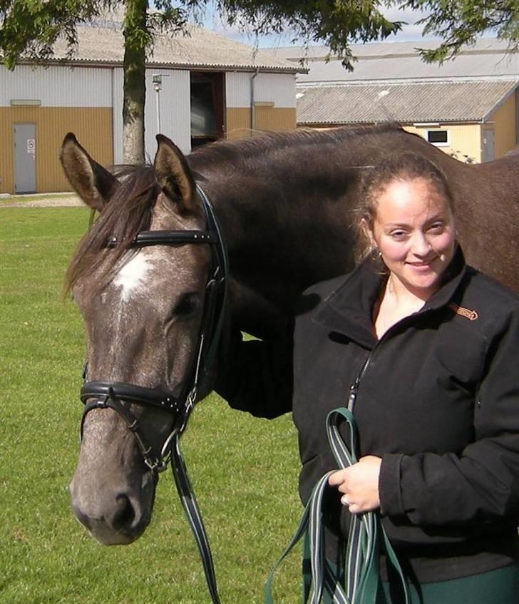 Holstener Indira Von HarknagR.I.P billede 4