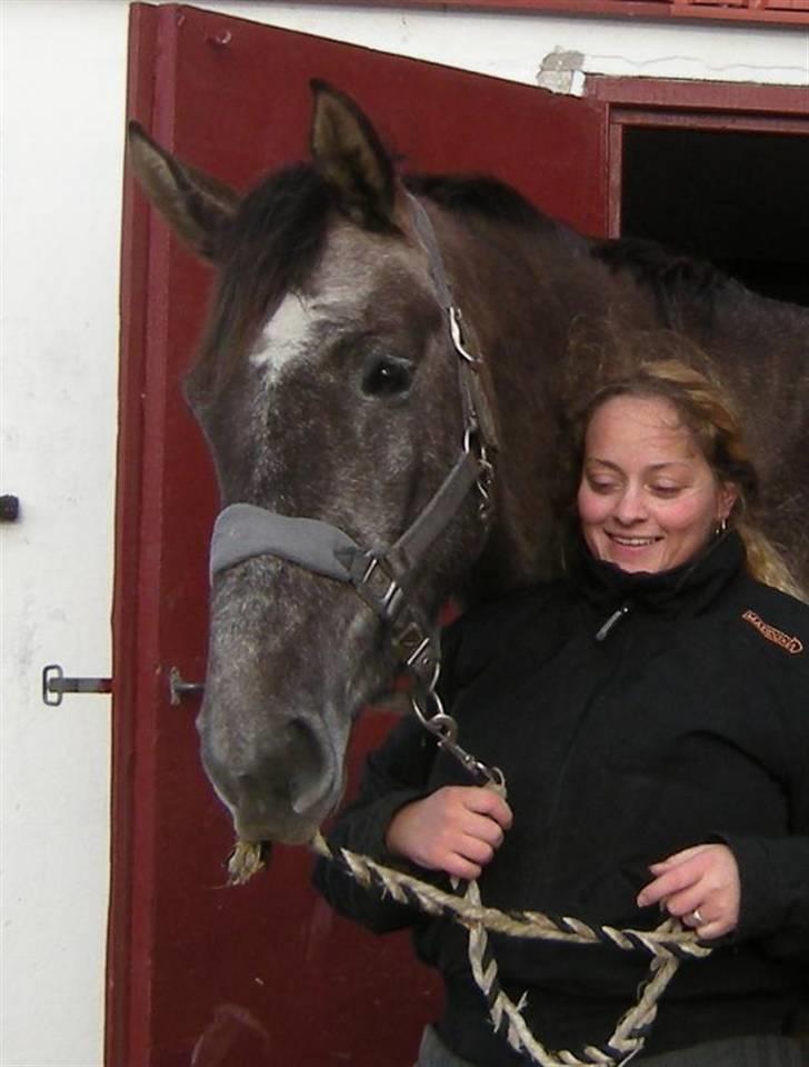 Holstener Indira Von HarknagR.I.P billede 19