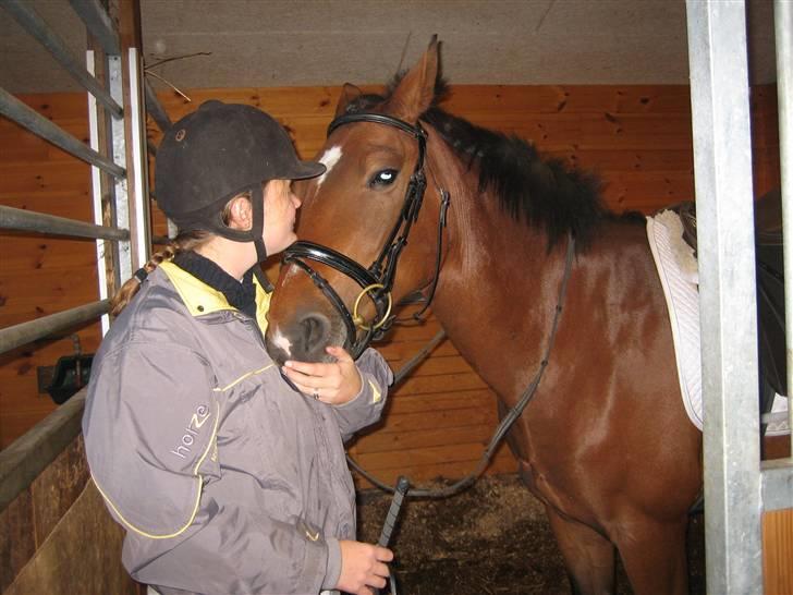 Anden særlig race Ally billede 8