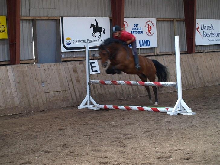 New Forest Charly - Springundervisning Rytterlejr 2010!!:P billede 9