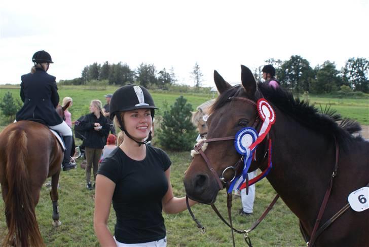 Anden særlig race Gimsi - himmelen har fået en ny stjerne<3 - Lørdagens resultater på Snorgaarden, August 2008. billede 8