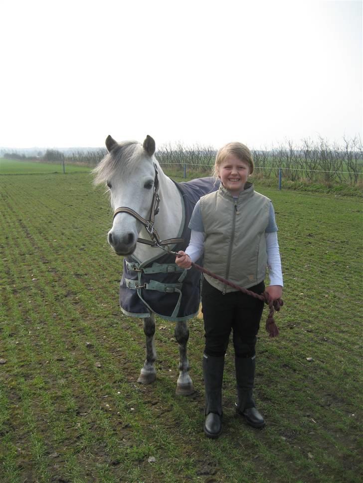 Anden særlig race Coco billede 12