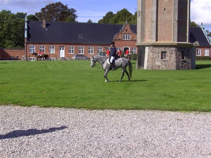 Anden særlig race Con Amor - Lige efter jagten;) billede 15