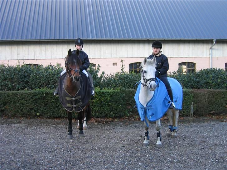 Anden særlig race Silver - Silver og Bella til jagt 2006  billede 3
