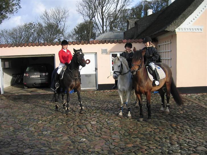 Anden særlig race Silver - Her er Silver, Limbo(R.I.P.) og Bella. til jagt 2006 mega hygge billede 6
