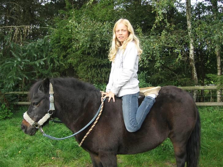 Anden særlig race Molly - leg på Hest :) billede 13