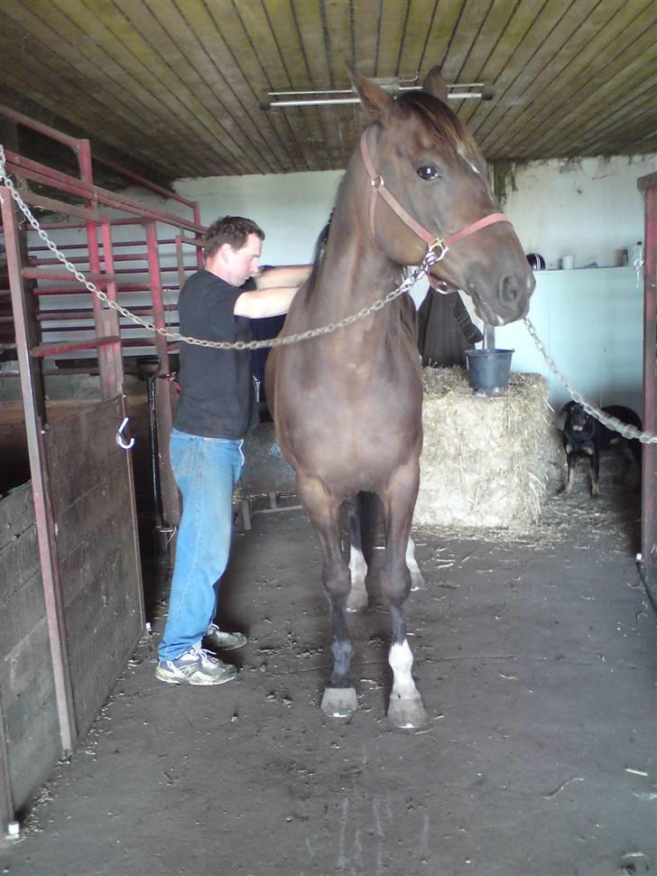 Traver Morassi (S) *Bortgivet til min veninde Karina* - Arh, go med lidt massage... Brian er ret proff til den slags!! billede 17