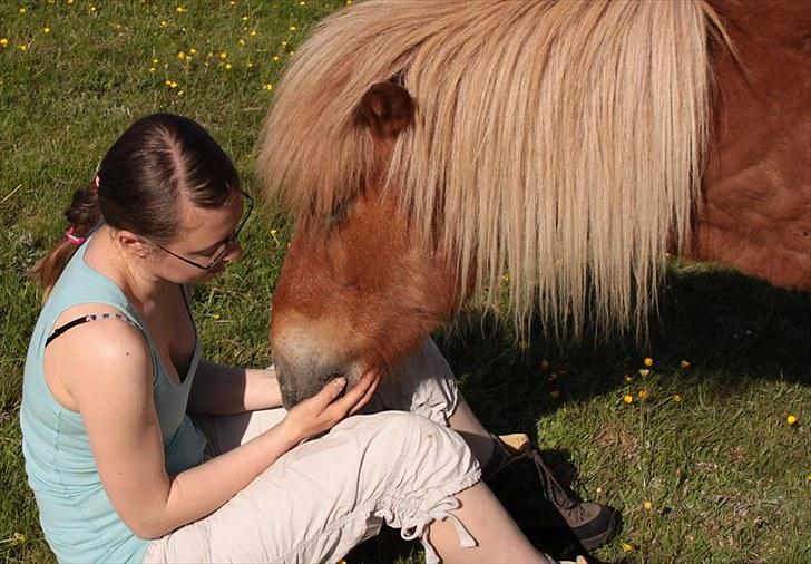 Islænder Fjölnir Fra Ertebjerg - Min dejlige pony :) billede 16