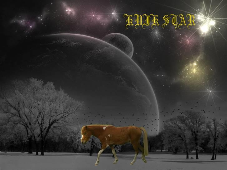 Dartmoor  Kvik Star  billede 1