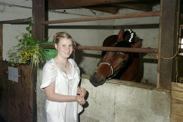 Anden særlig race Katholm's Freya-Takira - til min konfirmation. mine veninder havde pyntet lotten ( ; heh billede 3