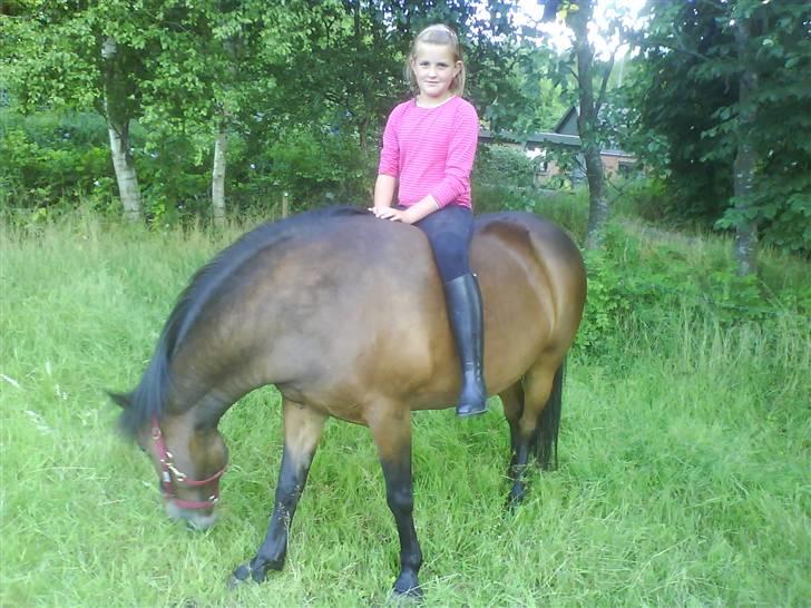 New Forest • Shila • - Shila og min lillesøster sommeren 2008 billede 11