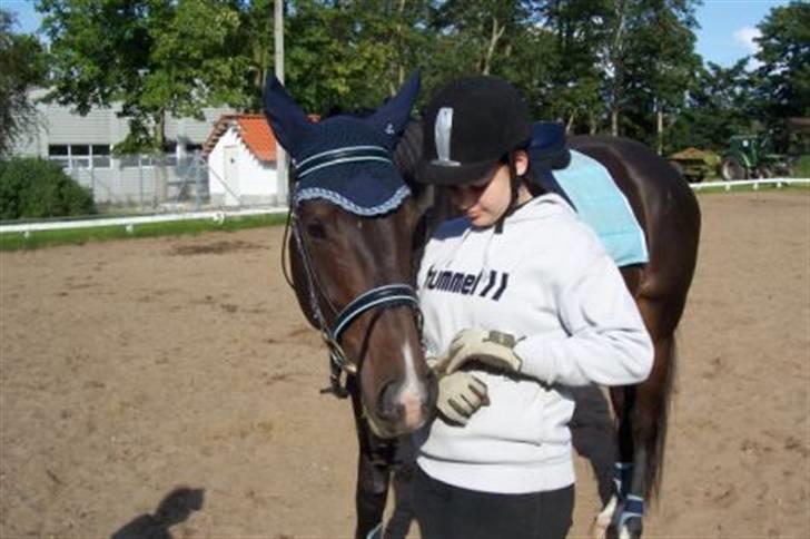 Fuldblod (XX) Erling - Til undervisning d. 21/9 :D billede 9