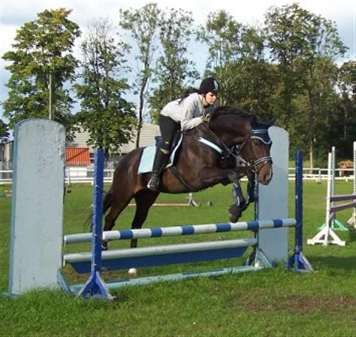 Fuldblod (XX) Erling - Undervisning d. 21/9 ^^ billede 10