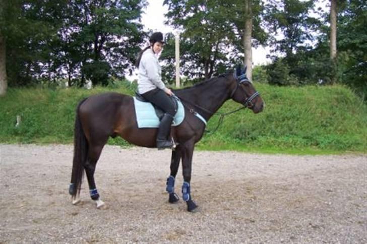 Fuldblod (XX) Erling - Heh , tag jer ikke af mig ^^ Jeg sidder lidt underligt xD billede 12