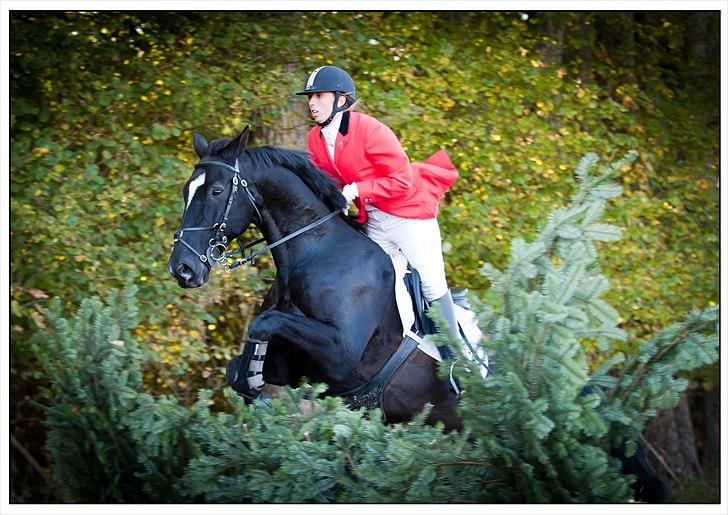 Oldenborg Kyllingegårdens Bubber - Steeplechasejagten 2010... billede 17
