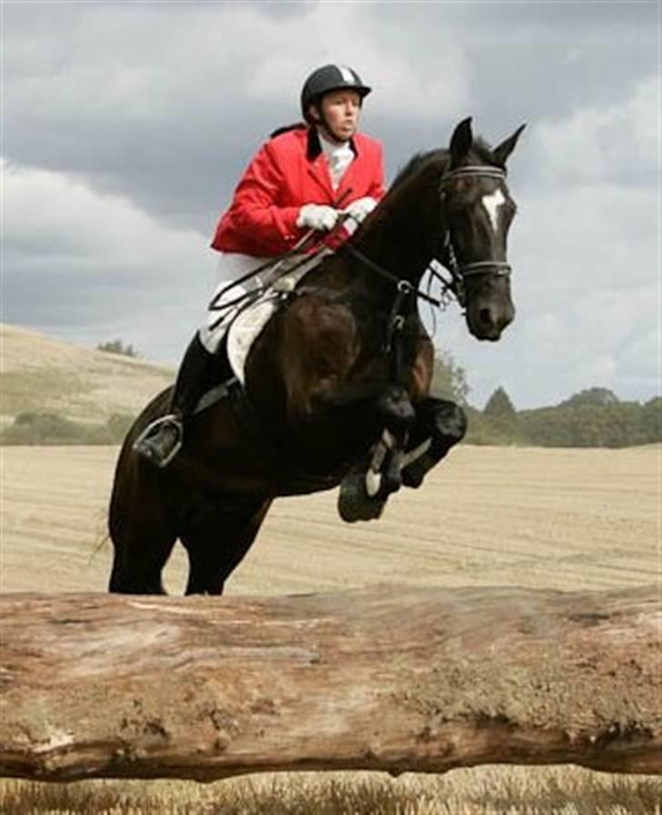 Oldenborg Kyllingegårdens Bubber - Vores 11. fuldførte jagt - Klintejagten 2009 på Møn. billede 18