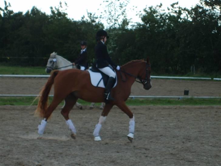 Anden særlig race Joep *solgt* - emma og joep 5 gang hun rider ham:)  nr. 1 i lc.1 uden galop;) billede 9