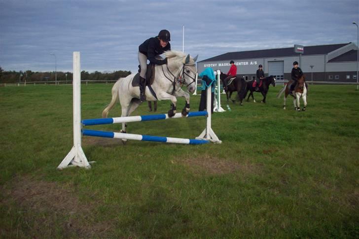 Anden særlig race Simone  - 1¤ Velkommen til SImone´s profil:) Spring træning. billede 1