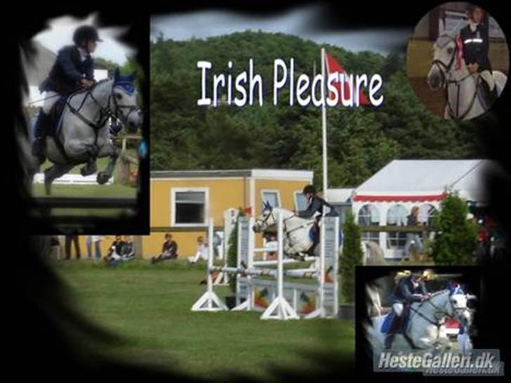 Anden særlig race Irish Pleasure (Solgt) - verdens bedste pony<333.. billede 16