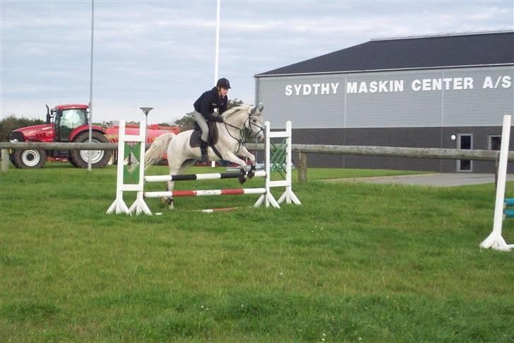 Anden særlig race Simone  - 5¤  Jah for satan vi kan jo hoppe!<3 billede 5