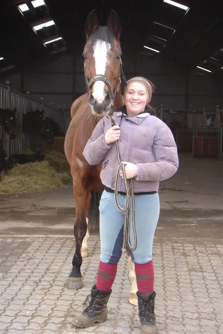 Hollandsk Varmblod Djuno/Lux :'( Aflivet :'( - Den dag djuno blev aflivet :´( billede 13