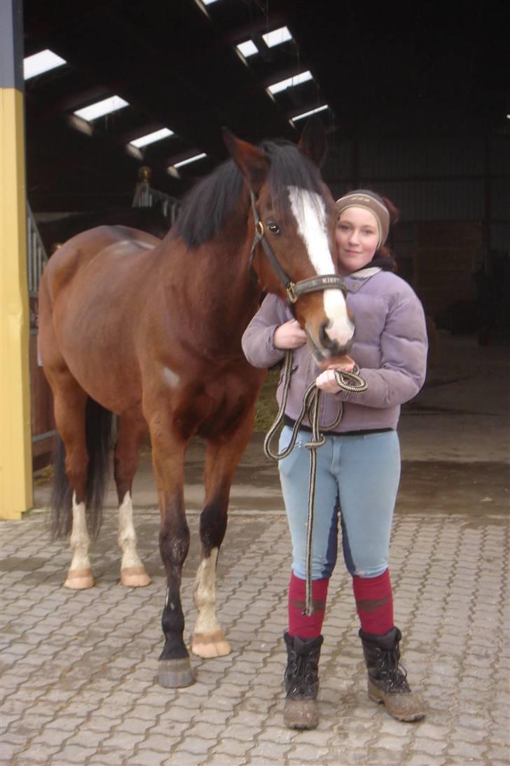 Hollandsk Varmblod Djuno/Lux :'( Aflivet :'( - Den dag djuno blev aflivet :´( billede 15